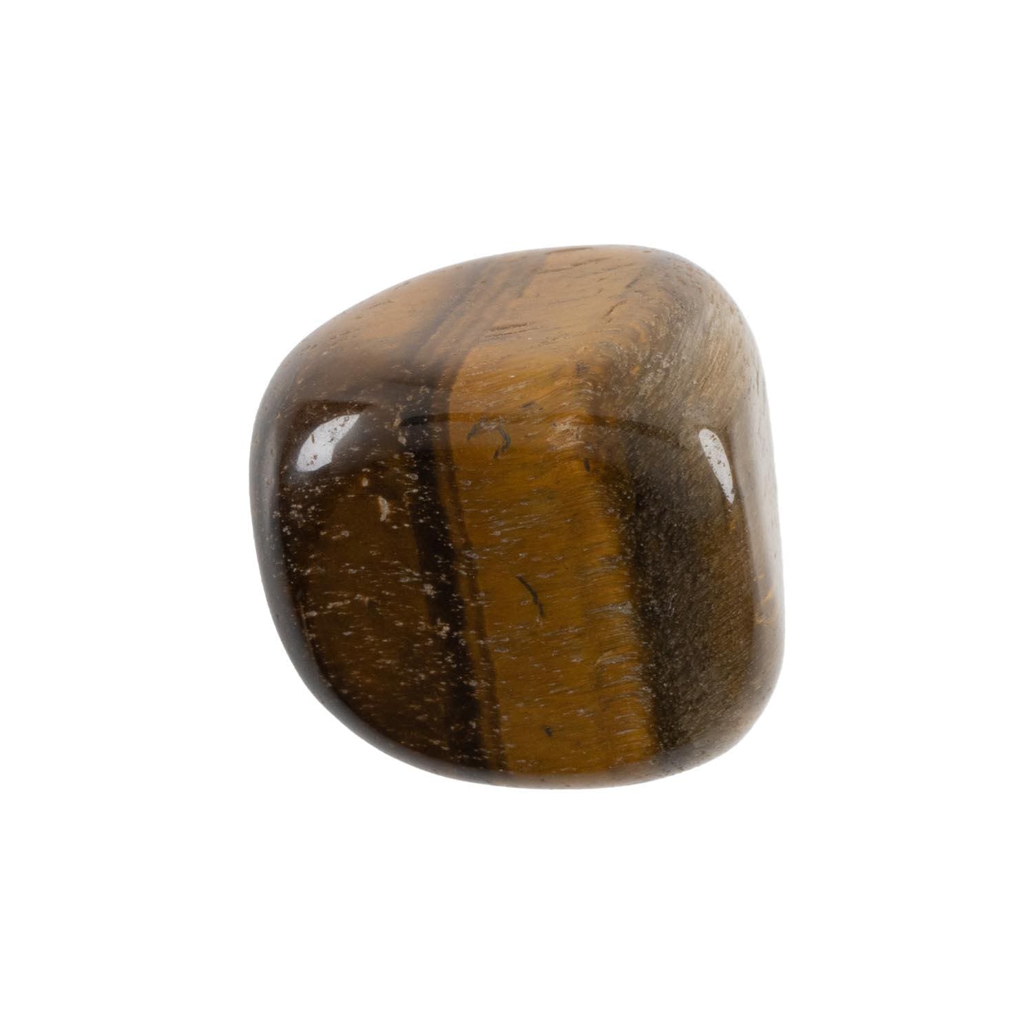 tigers eye blog