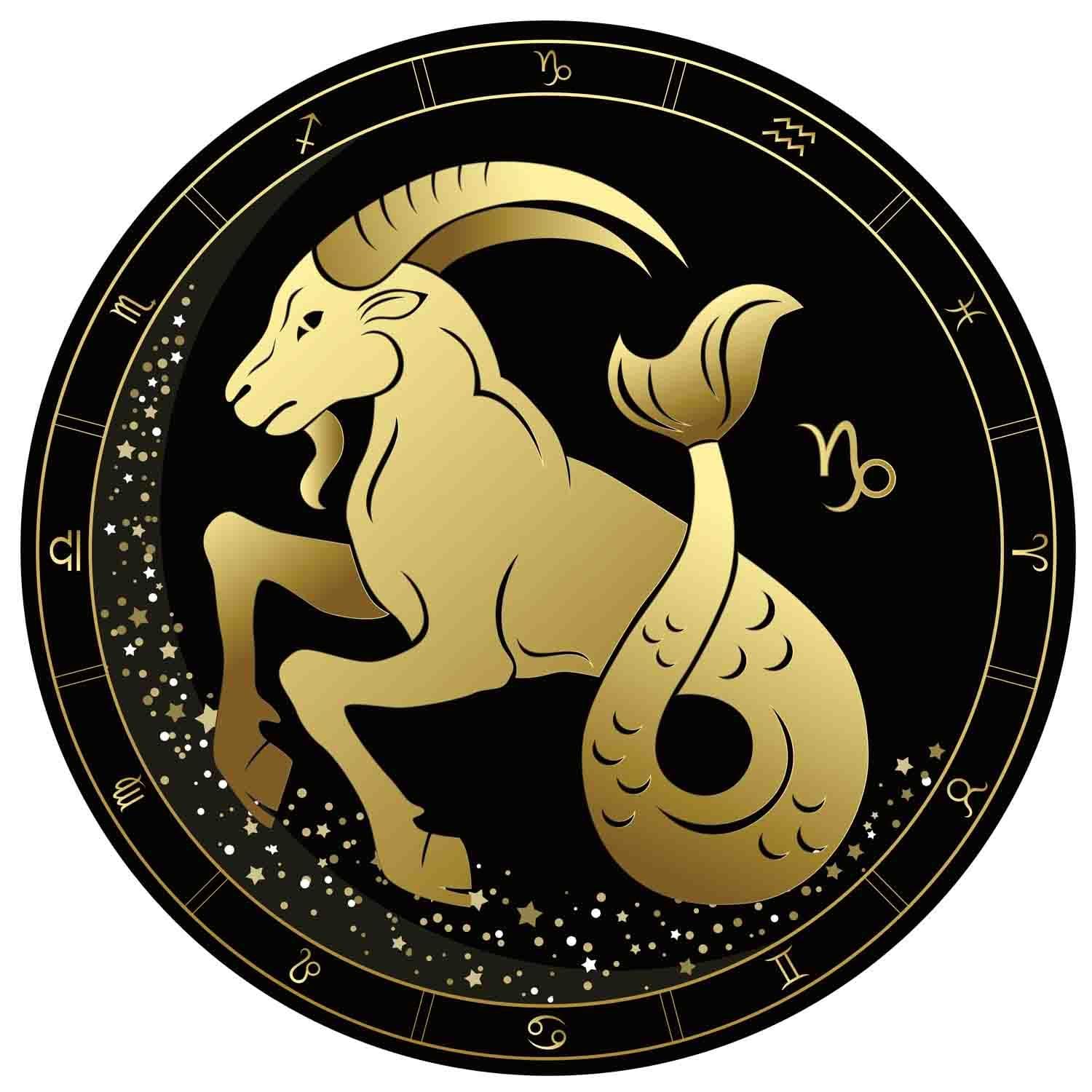 capricorn sized